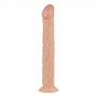 Shawn Realistic Dildo