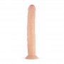 Shawn Realistic Dildo