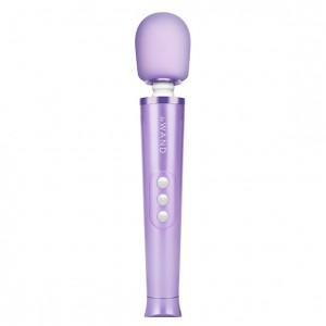Le wand - petite rechargeable vibrating massager violet