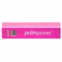 Palmpower - plug & play wand massager