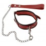 Leather collar and leash
