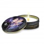 Shunga - Geisha's Secret Kit Exotic Fruits