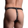 Harness With Cock Ring And Anal Plug