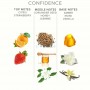 EOL Body Spray Confidence - 10 ml